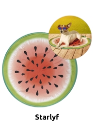 Kühlmatte für Tiere «Pet cooling mat», Ø 60 cm