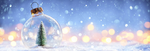 Weihnachtsangebote