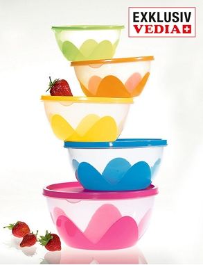 Frischhaltedosen, 5 Grössen