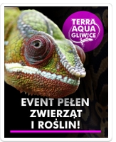 Terra Aqua Gliwice