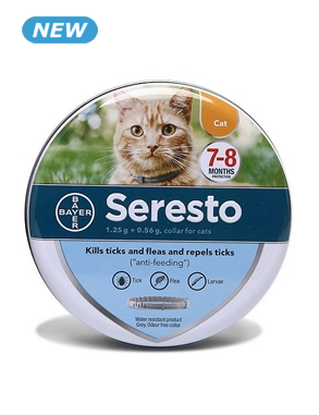 Katzenhalsband Zecken- & Flohschutz, L 38 cm, grau