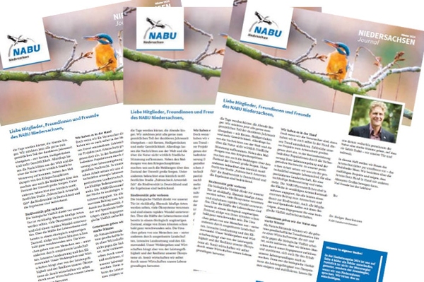 NABU Niedersachsen Journal Das Mitgliedermagazin für Niedersachsen