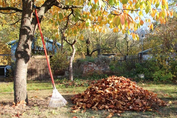 NABU-Tipps zum naturnahen Gärtnern So wird Ihr Herbstgarten zum Überwinterungsquartier