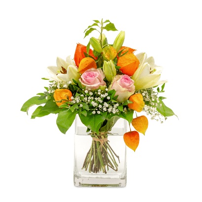 Septemberkollektion 2019