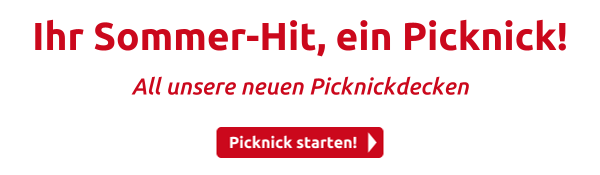 Ihr Sommer-Hit, ein Picknick!