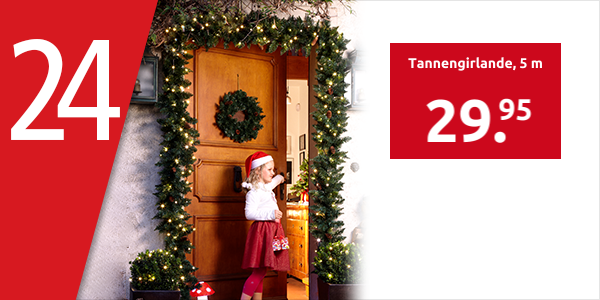 Tannengirlande, 5 m