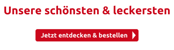 Unsere schönsten & leckersten 