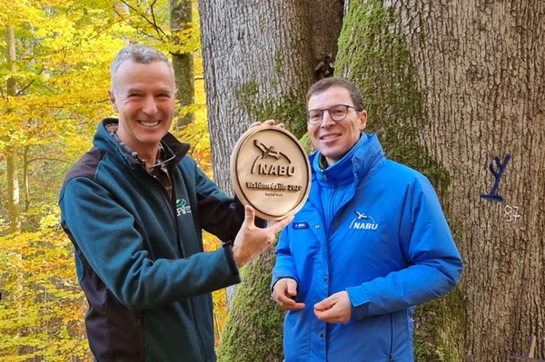 NABU-Waldmedaille geht an Revierleiter Arbeit im Einklang mit dem Naturschutz wird geehrt