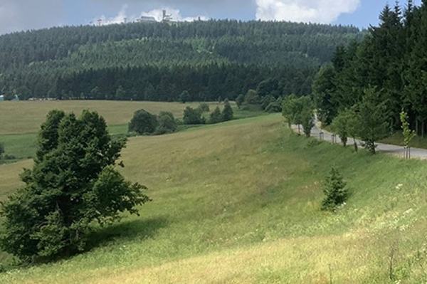 NABU Sachsen erzielt Erfolg: Gericht stoppt Bebauungsplan für Ferienhäuser in Oberwiesenthal