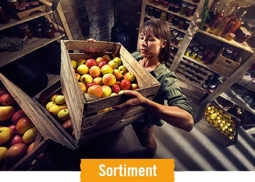 HORNBACH Sortiment Obstkisten