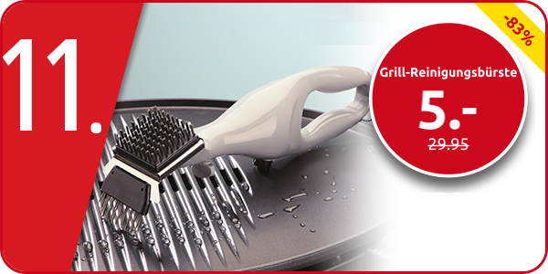 Grill-Reinigungsbürste