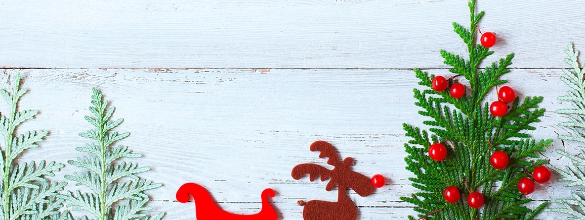 Der Newsletter Grundschule