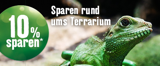 Zum Futter für Terrarienbewohner