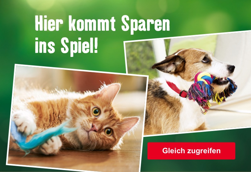 Hier kommt Sparen ins Spiel!