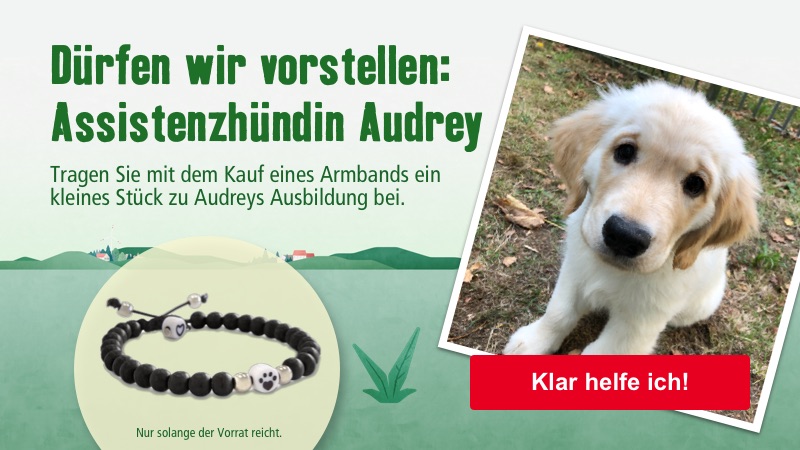 Assistenzhündin Audrey