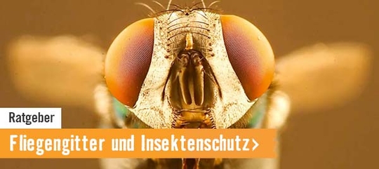 Ratgeber Fliegengitter und Insektenschutz