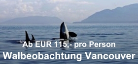 Walbeobachtung Vancouver