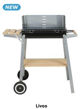 Livoo Holzkohle-Grill «DOC224»