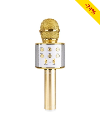 Karaoke-Mikro mit Lautsprecher, Bluetooth