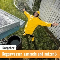 Ratgeber Regenwasser sammeln und nutzen