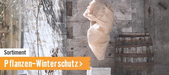 Pflanzen-Winterschutz im HORNBACH Onlineshop