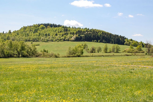 EuGH-Urteil bestätigt NABU-Kurs Sachsens Bergwiesen sind kein Bauland