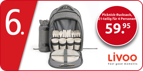 Livoo Picknick-Rucksack, 21-teilig für 4 Personen, grau