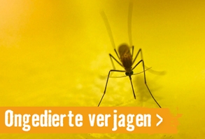 ongediertebestrijding | HORNBACH