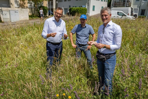 Vitale Flüsse und Insektenschutz Zentrale Rolle der Kommunen