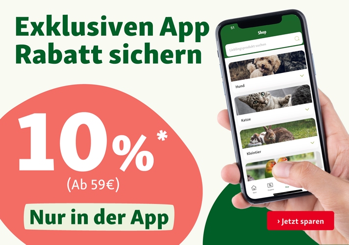 Jetzt App downloaden und Rabatt sichern