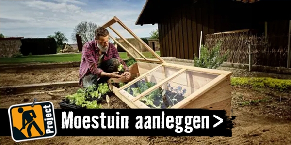 Moestuin aanleggen | HORNBACH