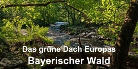 Bayerischer Wald - Das grüne Dach Europas