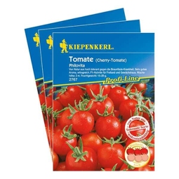 Cherry-Tomate 'Philovita F1' Gemüsesamen Kiepenkerl krankheitstolerant, 3er-Vorteils-Pack