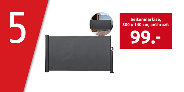 Seitenmarkise, 300 x 140 cm, anthrazit