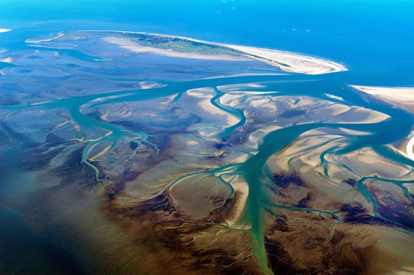 UNESCO rügt Deutschland NABU sorgt sich um Weltnaturerbe Wattenmeer