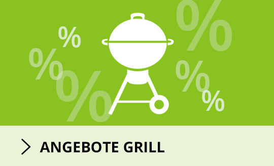 Angebote Grill