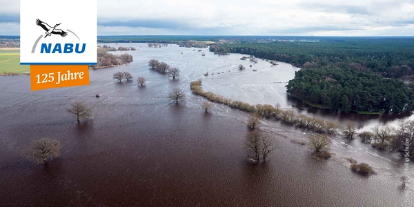 Hochwasser an der Aller (Januar 2024) - Foto: NABU/Phillip Schulze