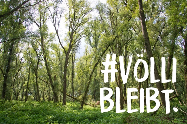 Historischer Erfolg: Völli bleibt! Der Vollhöfner Wald wird Naturschutzgebiet