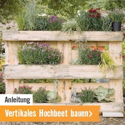 Anleitung Vertikales Hochbeet aus Paletten bauen