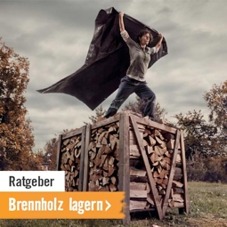 Ratgeber Brennholz lagern