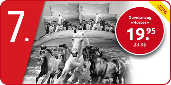 Duvetanzug «Horses» 160 x 210 cm + Pfulmenanzug 65 x 100 cm