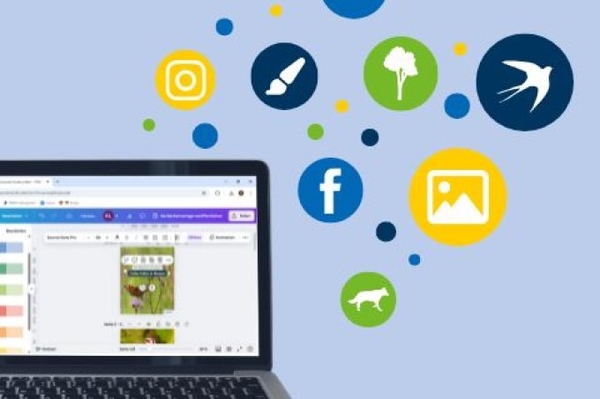 Einführung in Design-Tool Canva 12.6.2025: Grundlegende Designs und NABU-Templates