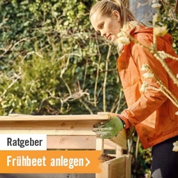 Ratgeber Frühbeet anlegen