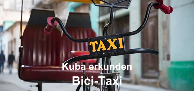 Bici-Taxi