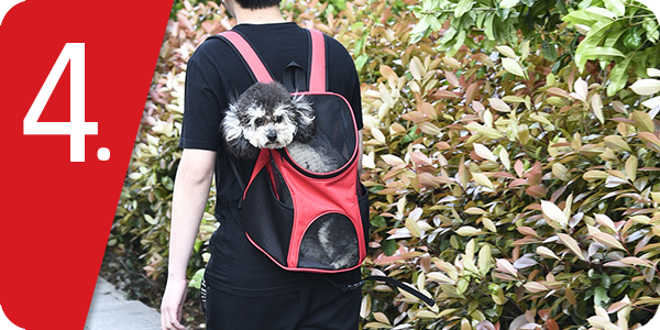 Rucksack für Tiere