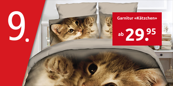 Garnitur «Kätzchen»