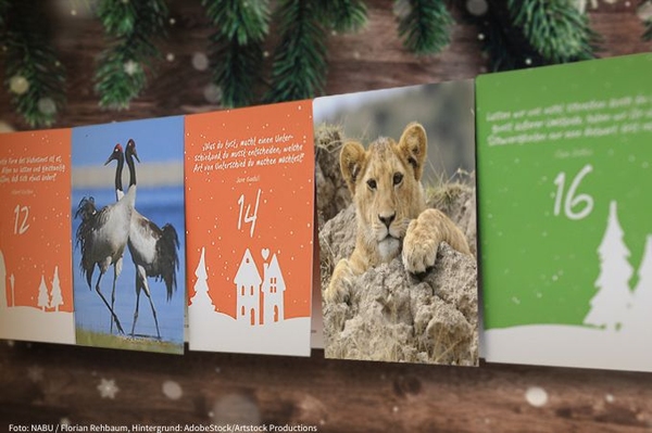 Adventskalender 2023 Zum Informieren und Mitmachen