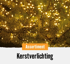 Kerstverlichting | HORNBACH