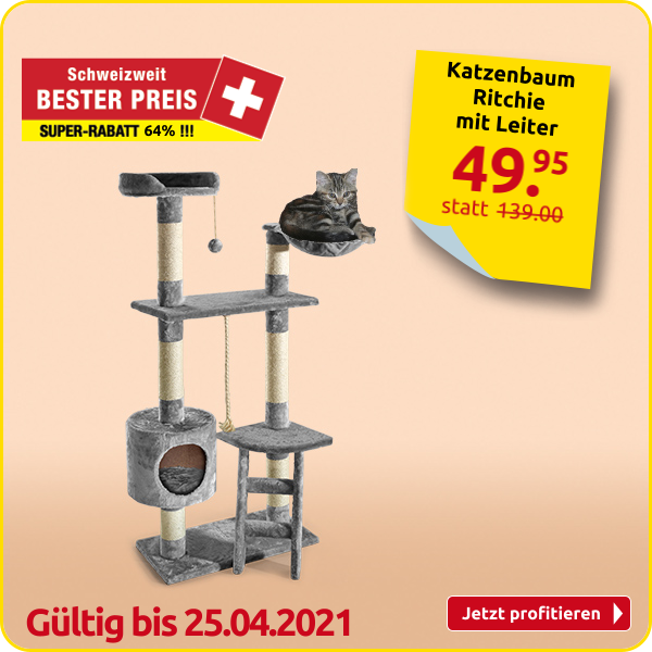 Katzenbaum Ritchie mit Leiter, grau