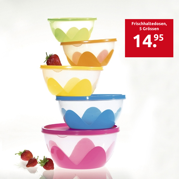 Frischhaltedosen, 5 Grössen